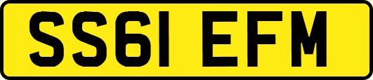 SS61EFM
