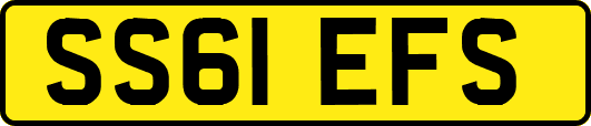 SS61EFS
