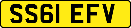 SS61EFV