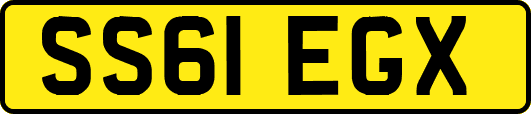 SS61EGX