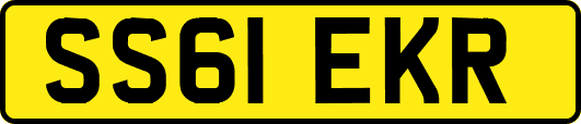 SS61EKR