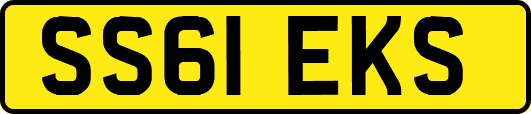 SS61EKS