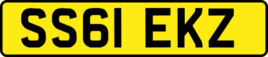 SS61EKZ