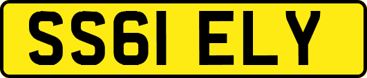 SS61ELY