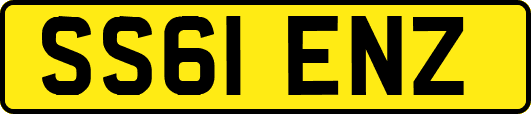 SS61ENZ