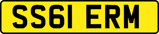 SS61ERM