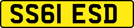 SS61ESD