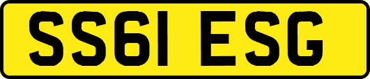 SS61ESG