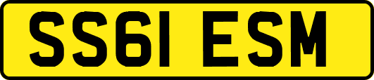 SS61ESM