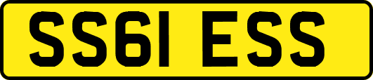 SS61ESS