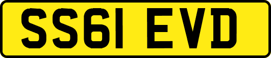SS61EVD