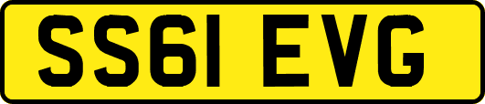 SS61EVG