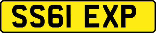 SS61EXP