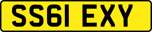 SS61EXY