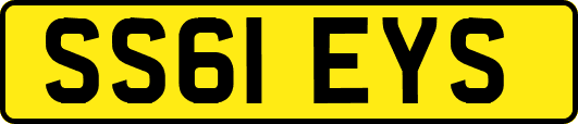 SS61EYS