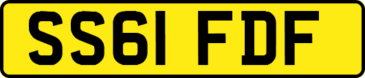 SS61FDF