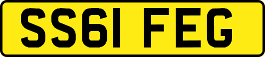 SS61FEG
