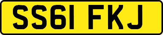 SS61FKJ