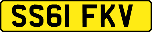 SS61FKV