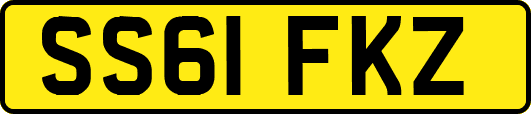 SS61FKZ