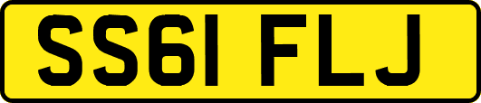 SS61FLJ