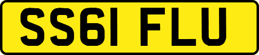 SS61FLU