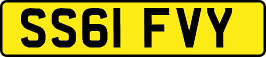SS61FVY