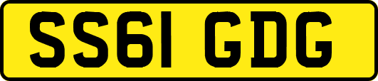 SS61GDG