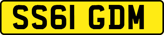 SS61GDM