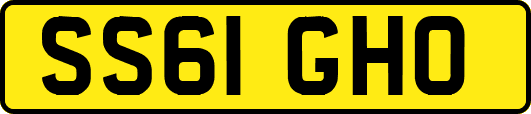 SS61GHO