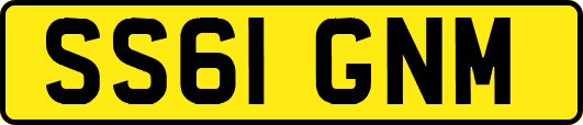 SS61GNM