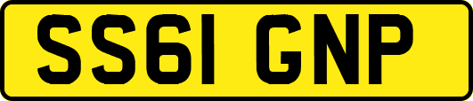 SS61GNP