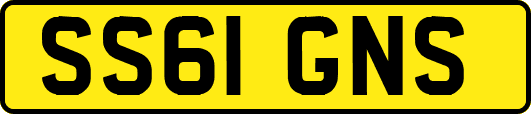SS61GNS