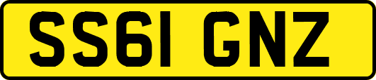SS61GNZ
