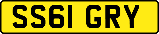 SS61GRY