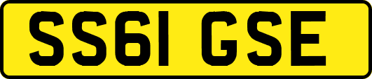 SS61GSE