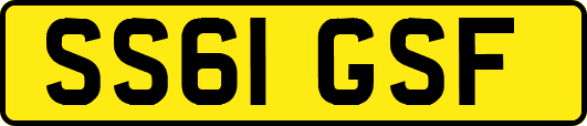 SS61GSF