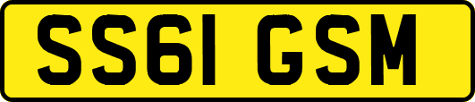 SS61GSM