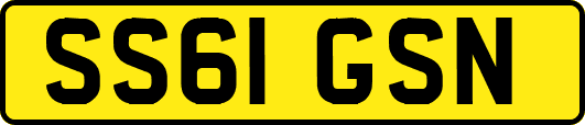 SS61GSN