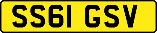 SS61GSV