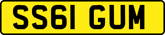 SS61GUM