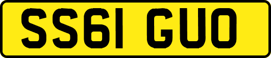 SS61GUO