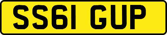 SS61GUP