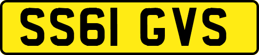 SS61GVS