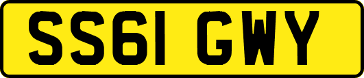 SS61GWY