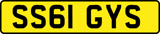 SS61GYS