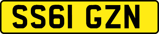 SS61GZN