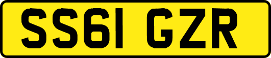 SS61GZR