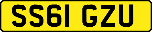 SS61GZU