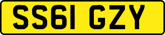 SS61GZY